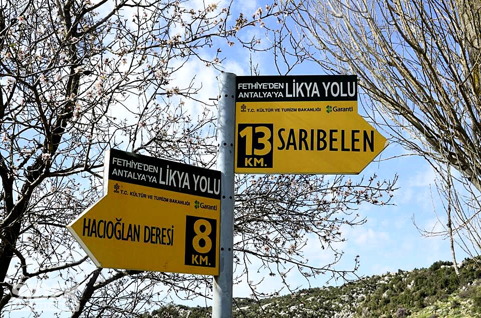 Sidek Ne Demektir?